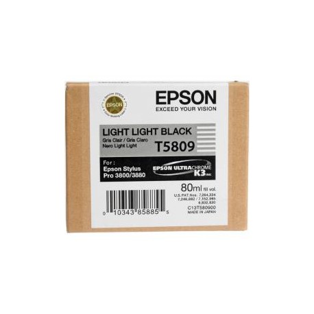 Epson T5809 - Light light black