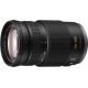 Panasonic Lumix G Vario 100-300 / 4-5.6 MEGA OIS