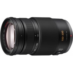 Panasonic Lumix G Vario 100-300 / 4-5.6 II MEGA OIS