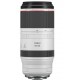 Canon RF 100-500/4.5-7.1L IS USM 