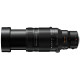 Panasonic Lumix 100-400/4-6.3 II Leica DG Vario Elmarit Power OIS - 