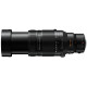 Panasonic Lumix 100-400/4-6.3 II Leica DG Vario Elmarit Power OIS - 