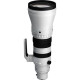 Sigma 300-600/4 DG OS Sports - SONY E