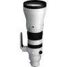 Sigma 300-600/4 DG OS Sports - SONY E °