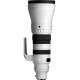 Sigma 300-600/4 DG OS Sports - SONY E