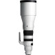 Sigma 300-600/4 DG OS Sports - SONY E