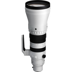 Sigma 300-600/4 DG OS Sports - L-Mount