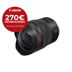 Canon RF 10-20/4 L IS STM