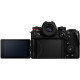 Panasonic S1II + 24-105/4