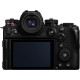 Panasonic S1II + 24-105/4