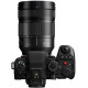 Panasonic S1II + 24-105/4