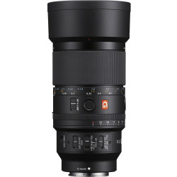 Sony FE 100/2.8 Macro GM OSS 