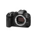 Canon EOS R6 III + RF 24-105/4L IS