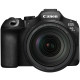 Canon EOS R6 III + RF 24-105/4L IS