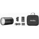 Godox Flash Witstro AD100 Pro II